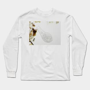 Bdelloid rotifer under the microscope Long Sleeve T-Shirt